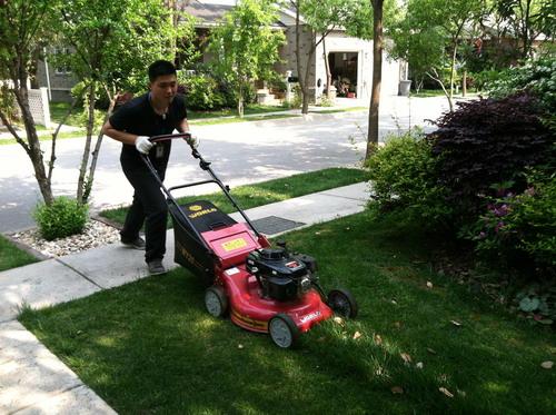 工廠、商務(wù)大樓、工業(yè)園區(qū)、私人企業(yè)、電影院、銀行、政府機(jī)關(guān)、學(xué)校、酒店娛樂場(chǎng)所等綠化養(yǎng)護(hù)